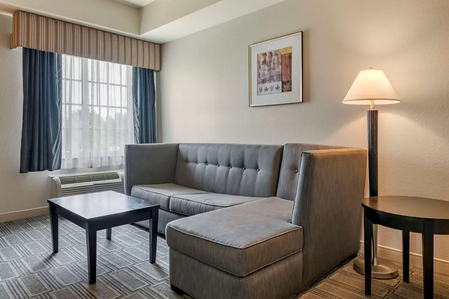 Comfort Inn & Suites hotel detail image 6