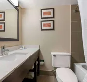 Comfort Inn & Suites Indianapolis Northwest - College Park hotel detail image 4