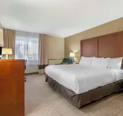 Comfort Inn & Suites Indianapolis Northwest - College Park hotel detail image 7