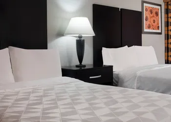 Holiday Inn Corpus Christi Arpt & Conf Ctr by IHG hotel thumbnail 5