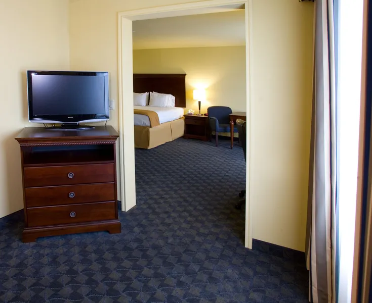 Holiday Inn Express & Suites Corpus Christi NW - Calallen by IHG hotel detail image 2