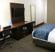 Comfort Inn & Suites Near Six Flags & Medical Center hotel detail image 4