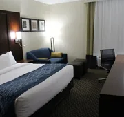 Comfort Inn & Suites Near Six Flags & Medical Center hotel detail image 5