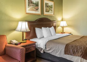 Quality Inn & Suites Ann Arbor Hwy 23 hotel thumbnail 5
