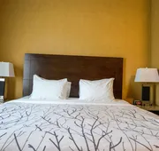 Best Western Plus South Edmonton Inn & Suites hotel detail image 7