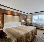 Best Western Plus Edmonton Airport hotel detail image 5