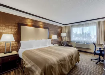 Best Western Plus Edmonton Airport hotel thumbnail 5