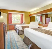 Microtel Inn & Suites by Wyndham Mason/Kings Island hotel detail image 3