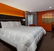 Hotel Vinea, a Travelodge by Wyndham hotel detail image 3