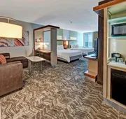 Springhill Suites by Marriott Moore hotel detail image 5