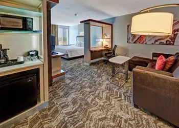Springhill Suites by Marriott Moore hotel thumbnail 7