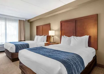 Comfort Inn & Suites Orlando North hotel thumbnail 5