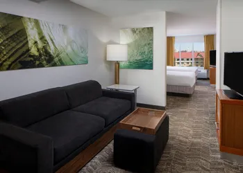 SpringHill Suites by Marriott Convention Center/I-drive hotel thumbnail 6