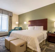 Hampton Inn & Suites Orlando-South Lake Buena Vista hotel detail image 7