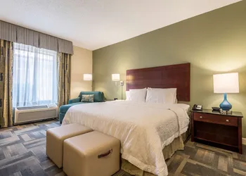 Hampton Inn & Suites Orlando-South Lake Buena Vista hotel thumbnail 7