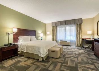 Hampton Inn & Suites Orlando-South Lake Buena Vista hotel thumbnail 8