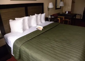 Quality Inn Mt. Vernon hotel thumbnail 4