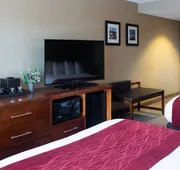 Comfort Inn & Suites Logan International Airport hotel detail image 7