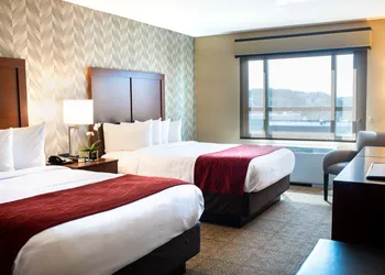 Comfort Inn & Suites Logan International Airport hotel thumbnail 8