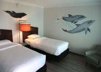 Dolphin Sands Clearwater Beach, an Ascend Collection Hotel hotel thumbnail 5