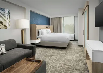 SpringHill Suites by Marriott Atlanta Perimeter Center hotel thumbnail 7