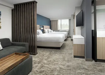 SpringHill Suites by Marriott Atlanta Perimeter Center hotel thumbnail 8