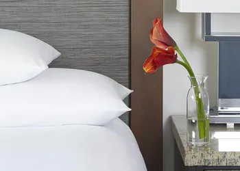 Hyatt Regency Atlanta Downtown hotel thumbnail 6