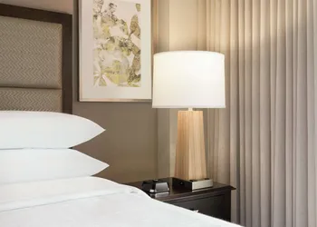 Embassy Suites by Hilton Atlanta Alpharetta hotel thumbnail 7