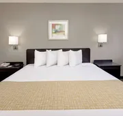 Travelodge by Wyndham College Park hotel detail image 7