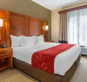 Comfort Suites Newark - Harrison hotel detail image 4