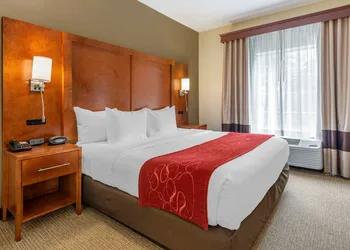 Comfort Suites Newark - Harrison hotel thumbnail 4