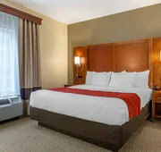 Comfort Suites Newark - Harrison hotel detail image 7