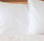Sonesta Simply Suites Philadelphia Mount Laurel hotel detail image 5