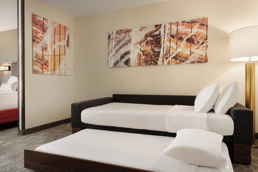 SpringHill Suites by Marriott Phoenix Chandler/Fashion Center hotel detail image 6