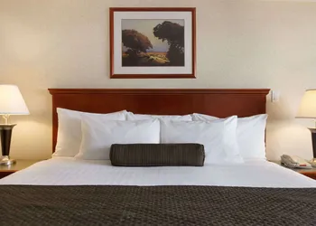 Days Inn & Suites by Wyndham Langley hotel thumbnail 6