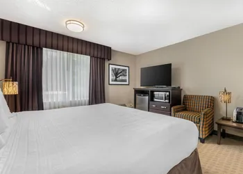 Best Western Plus Country Meadows Inn hotel thumbnail 8