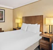 Best Western Plus Pitt Meadows Inn & Suites hotel detail image 7