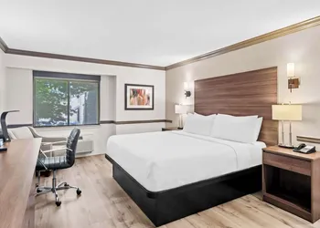 Best Western Maple Ridge Hotel hotel thumbnail 3