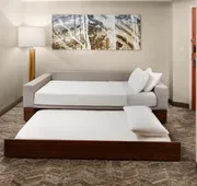 SpringHill Suites by Marriott Virginia Beach Oceanfront hotel detail image 4