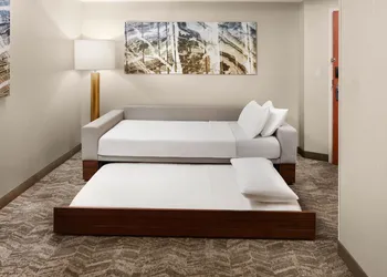 SpringHill Suites by Marriott Virginia Beach Oceanfront hotel thumbnail 4