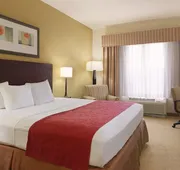 Country Inn & Suites by Radisson, Savannah I-95 North, GA hotel detail image 7