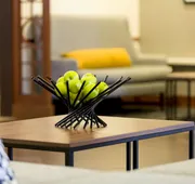 Hyatt Place Dallas/North Arlington/Grand Prairie hotel detail image 3