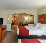 Comfort Suites North Dallas hotel detail image 5