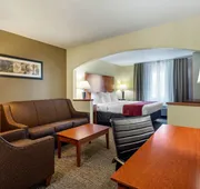 Comfort Suites North Dallas hotel detail image 7