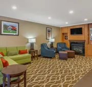 Comfort Inn & Suites North Dallas - Addison hotel detail image 3
