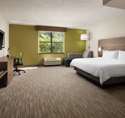 Holiday Inn Express & Suites Irving Dfw Airport North by IHG hotel detail image 3