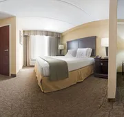 Holiday Inn Express Hotel & Suites DFW Airport South by IHG hotel detail image 3