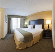 Holiday Inn Express Hotel & Suites DFW Airport South by IHG hotel detail image 4