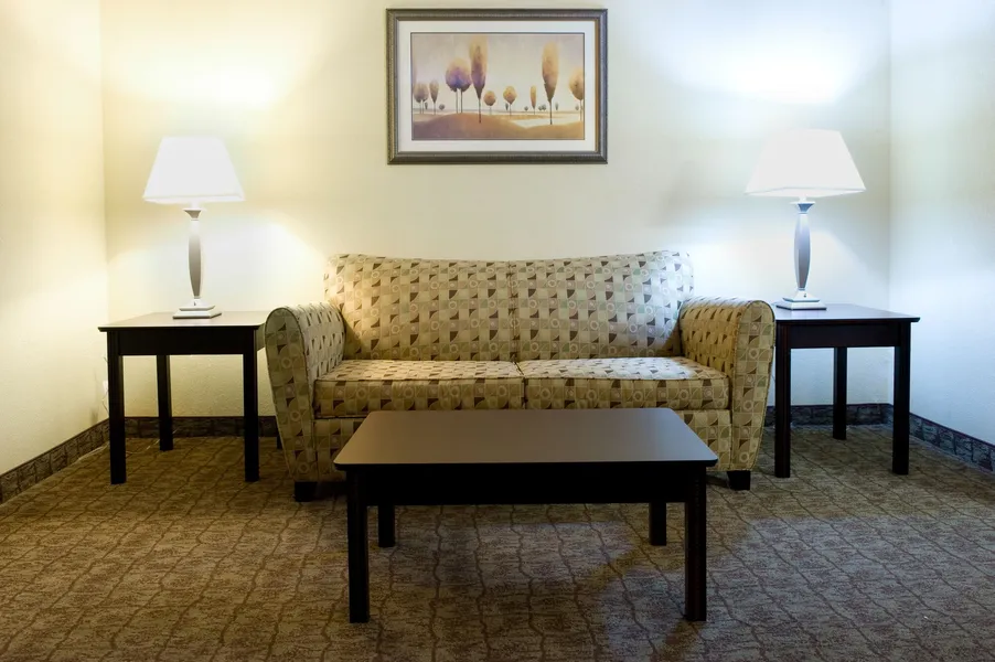 Holiday Inn Express Hotel & Suites DFW Airport South by IHG hotel detail image 6
