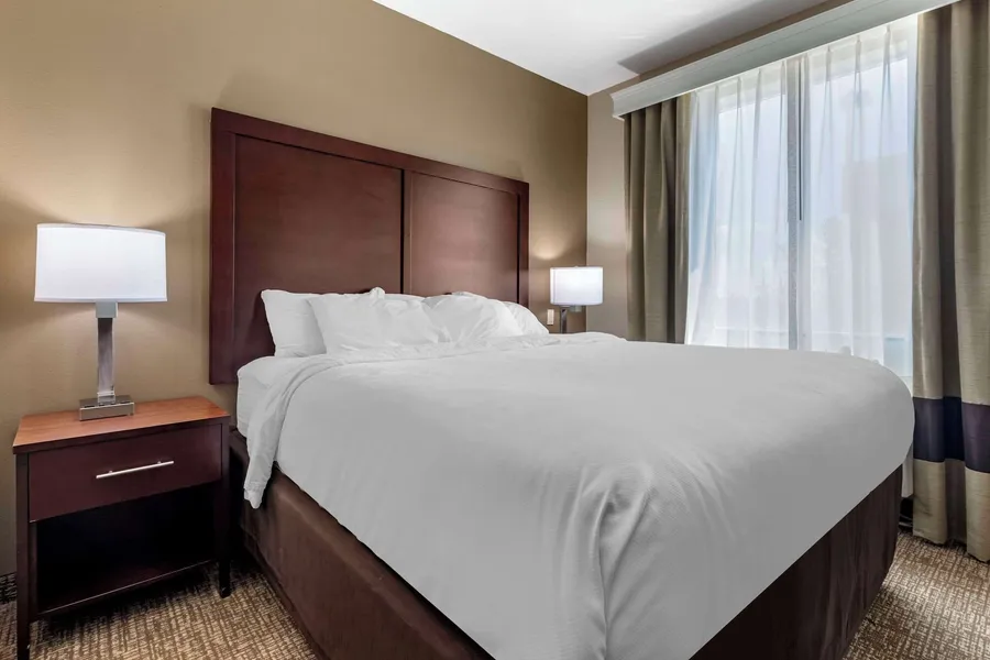 Comfort Suites Plano - Dallas North hotel detail image 6